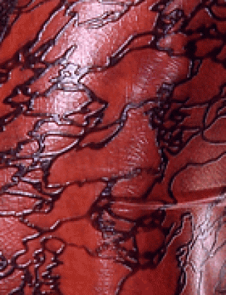 Struktur Latex Translucent Lava Pink Moire